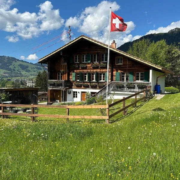 Alpenchalet Haldeli Ferienwohnung，位于格施塔德的酒店