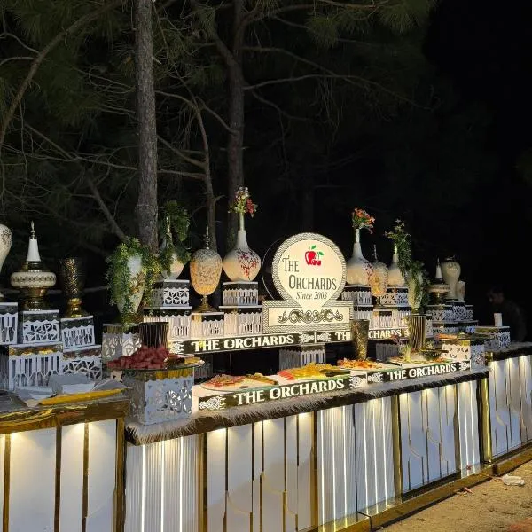 Pine Vista Resort !! A Complete Resort with all Facilities # A Beautiful Mountain View # Best Selling Property，位于卡绍利的酒店