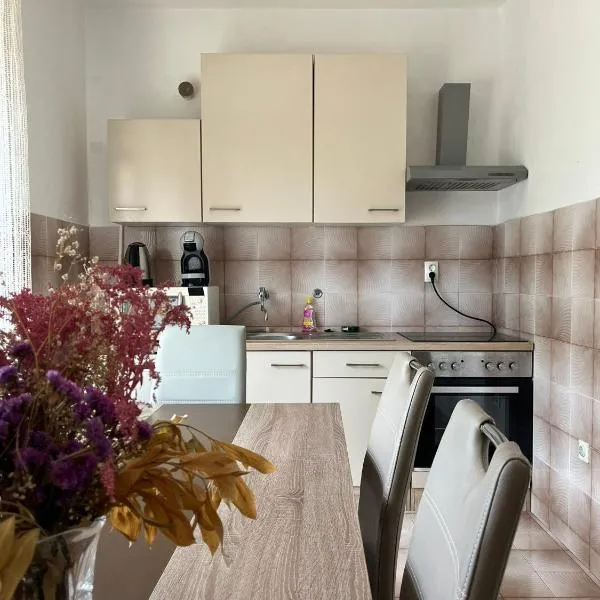 Bright & Spacious Two-Bedroom Apartment，位于苏科尚的酒店