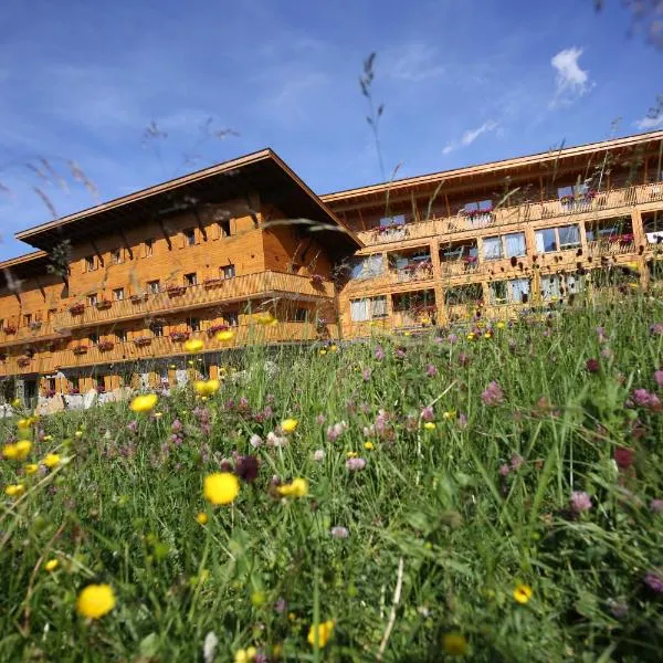 弗罗拉皮那运动酒店，位于阿尔卑斯休斯山的酒店