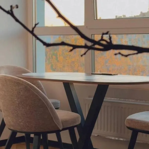 Апартаменти в центрі на Шевченка，位于赫梅利尼茨基的酒店