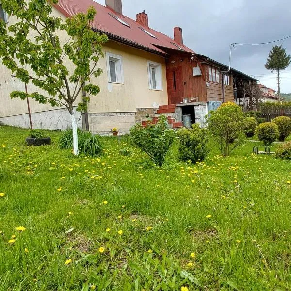 Tygiel Krzywa, Beskid Niski，位于Krzywa的酒店