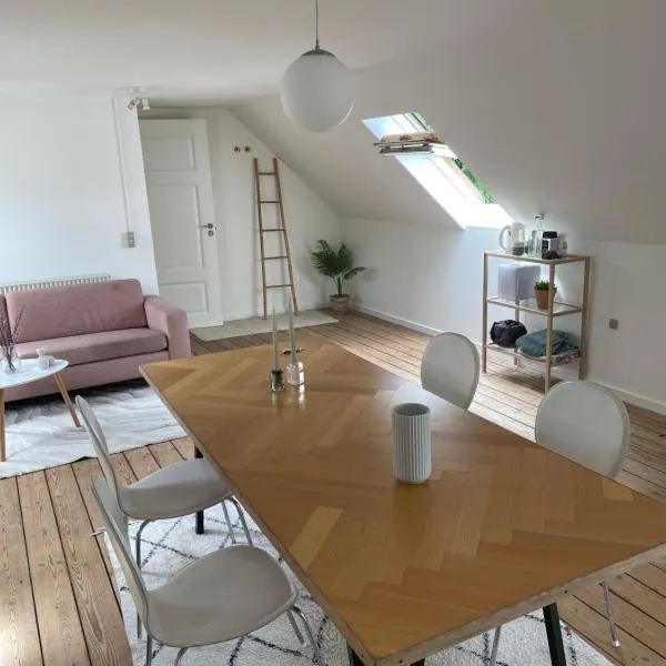Udlejning af to værelser med udsigt til parken beliggende i centrum，位于欧登塞的酒店