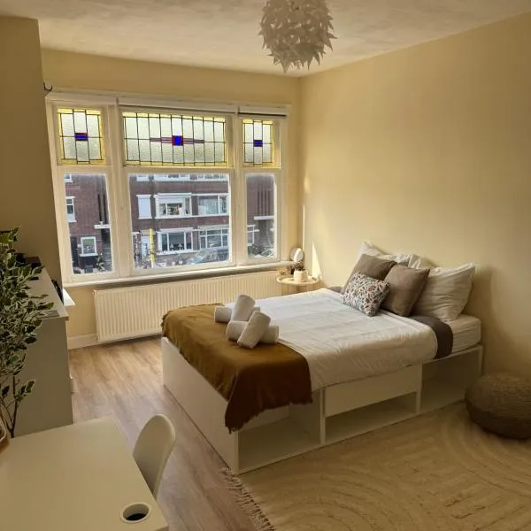 Spacious Cosy Room With Private Bathroom，位于海牙的酒店