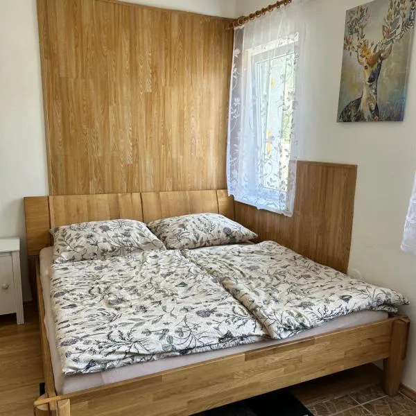 Horský dům，位于亚希莫夫的酒店
