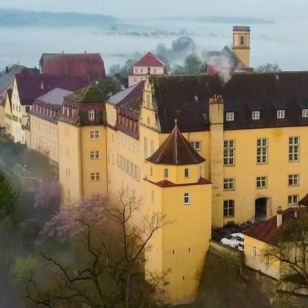 BioHotel Schloss Kirchberg，位于基希贝格安德日格的酒店