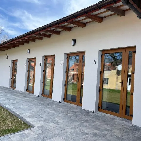 Apartamenty przy Muzeum，位于Brzeziny的酒店