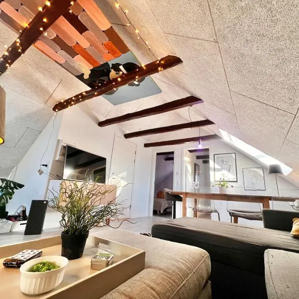 Dalgade loft and living，位于瓦埃勒的酒店