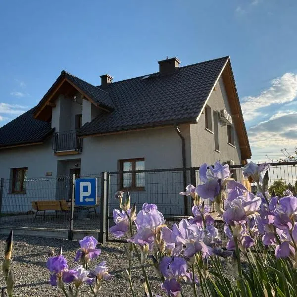 Agroturystyka Kameralna93，位于Ochaby的酒店