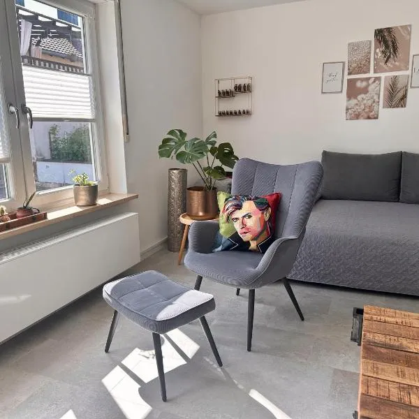 Melanies Apartment，位于Burgsinn的酒店