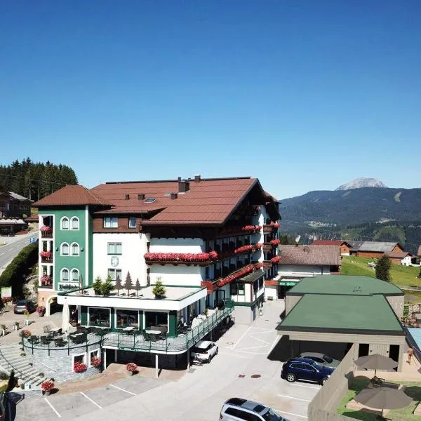 瓦尔德弗里登酒店，位于斯拉德明的酒店