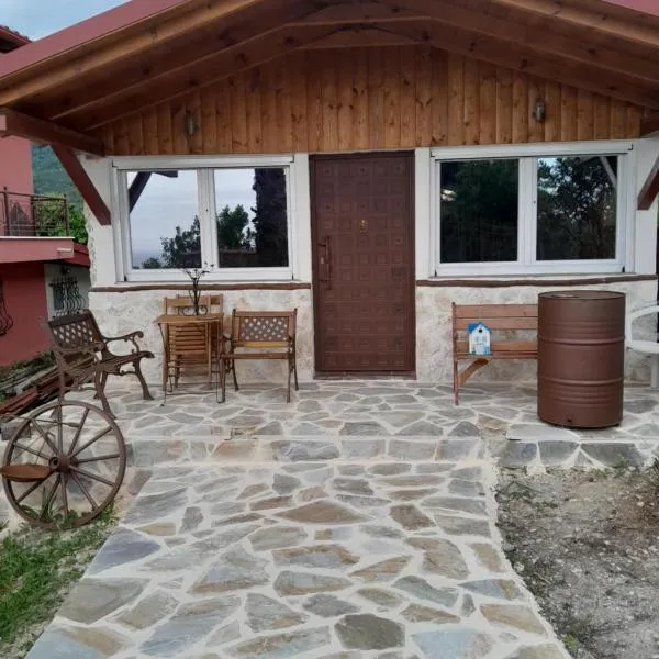 challet Nestor，位于帕拉塔蒙的酒店