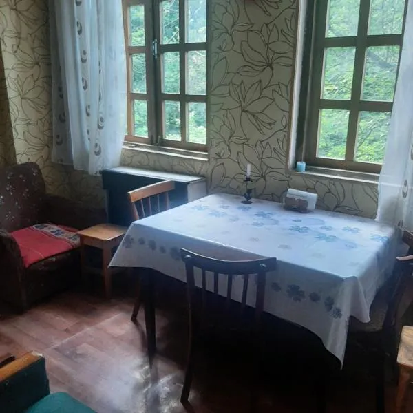 Stadtzentrum，位于Chiatʼura的酒店