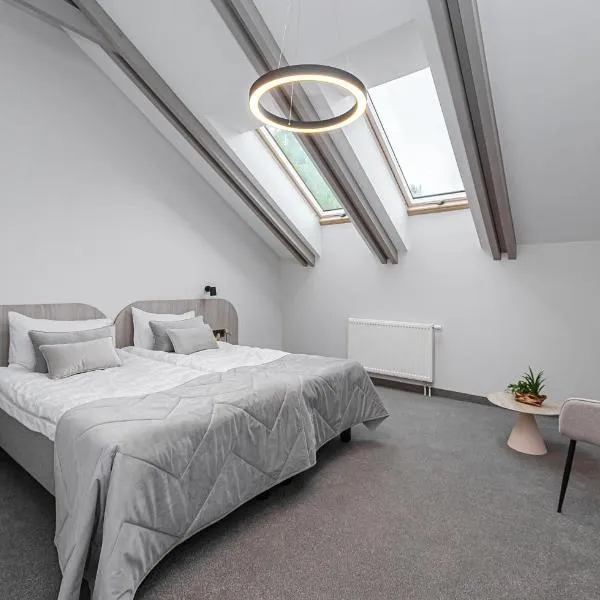 Nykščio Namai & SPA，位于阿尼克什奇艾的酒店