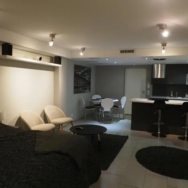 Studio Aittis，位于约恩苏的酒店