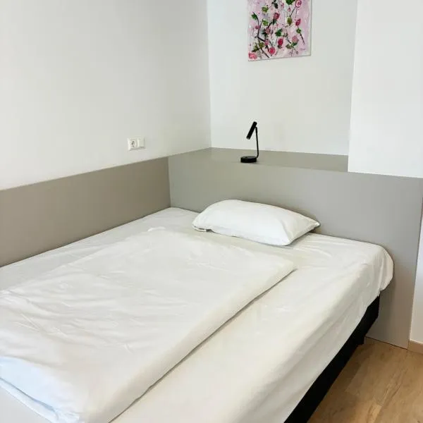 Hotel Wasserpalast - breakfast for free!!!，位于格拉茨的酒店