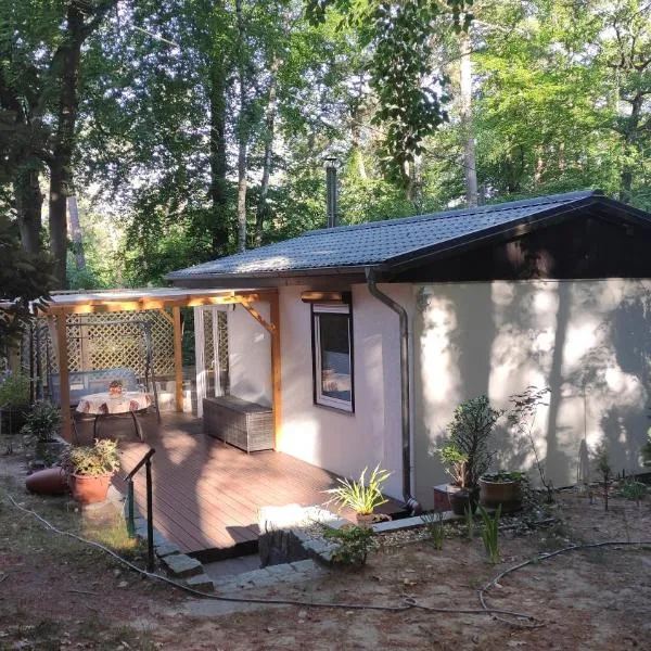 Kleines Haus am Wald，位于施维洛塞的酒店