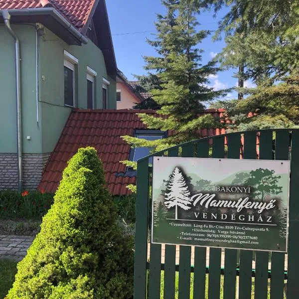Bakonyi Mamutfenyő Vendégház，位于Tés的酒店