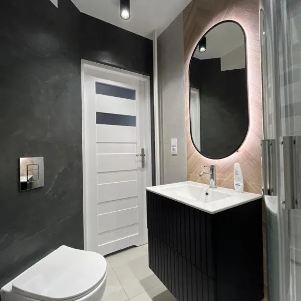 Nowoczesny Apartament Centrum przy PKP，位于琴斯托霍瓦的酒店
