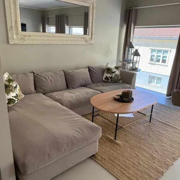 Notodden Sentrum Apartment NO 2，位于诺托登的酒店