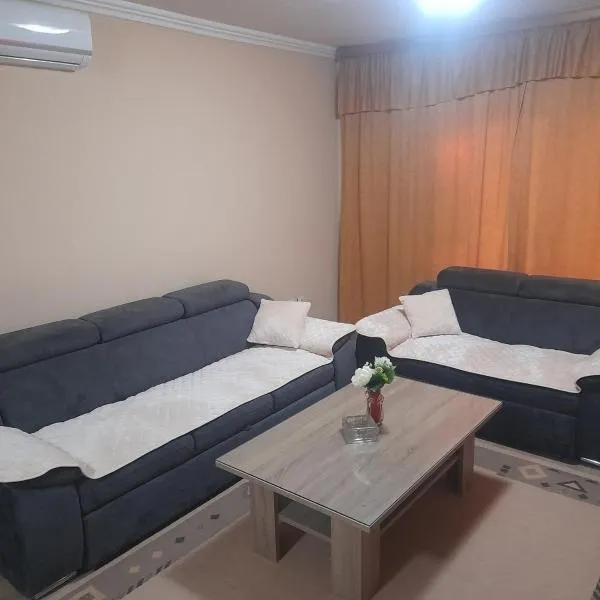 Apartment Classic Plus，位于Bivolje Brdo的酒店
