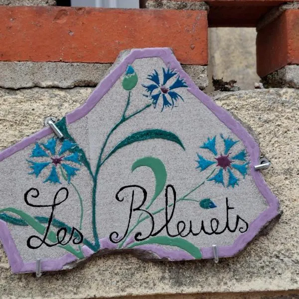 Les Bleuets，位于拉帕利斯的酒店