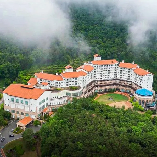 STX Resort，位于Mungyeong的酒店