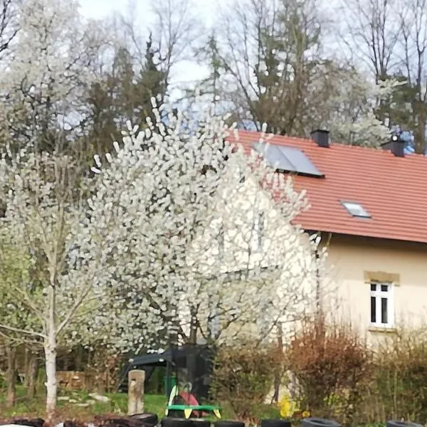 Ferienhaus Rötzer - Forsthausschmankerl mit Sauna, Whirlpool und Grill，位于布鲁克的酒店