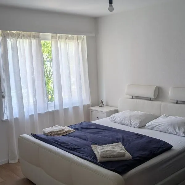 Luxury Apartment in very Good Location near Basel City，位于艾勒史威尔的酒店