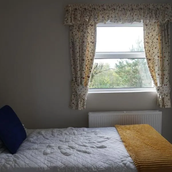 Rockville House B&B，位于巴利香农的酒店