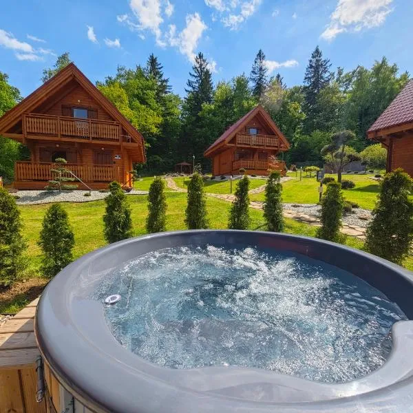 Górskie Wytchnienie Domki Karkonosze，位于佩霍维采的酒店