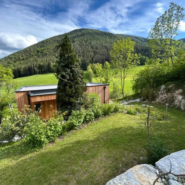Die Feigenterrasse beim Semmering，位于Schlagl的酒店
