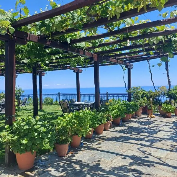 Olga Studios，位于桑加拉达的酒店