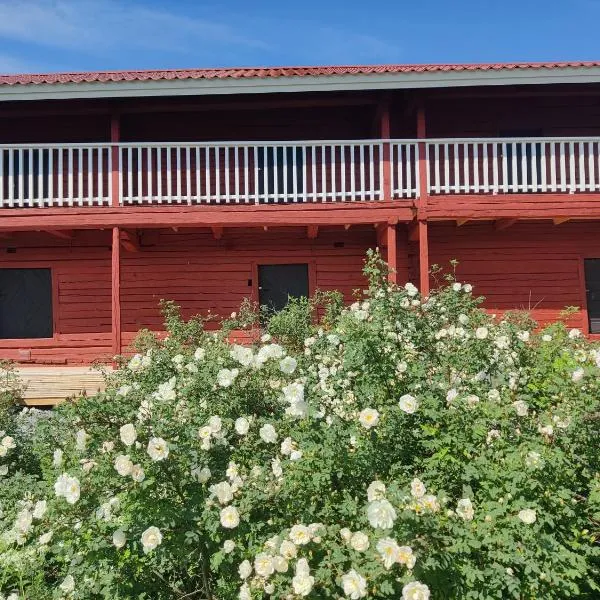 Hämeenniemi B&B Aitta, Barn，位于黑诺拉的酒店
