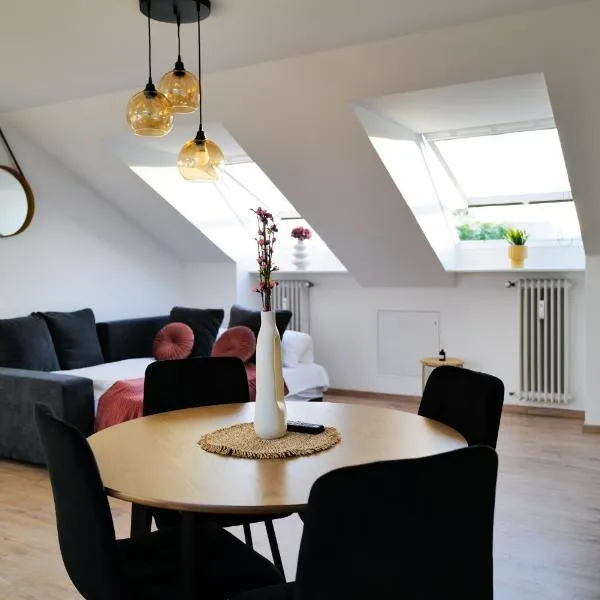 ThermenNest Erding, parking, wifi，位于埃尔丁的酒店