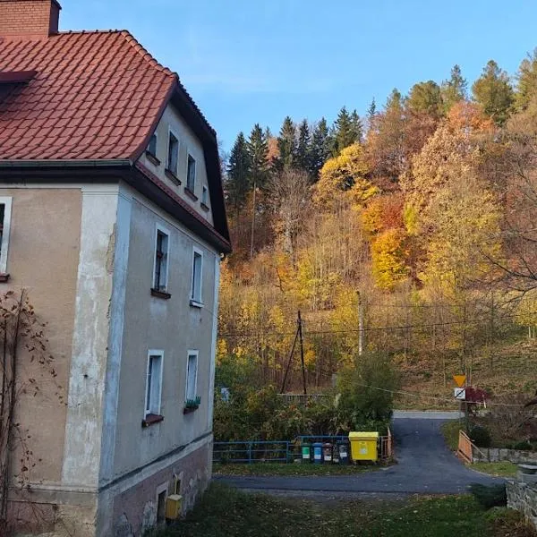 BAZA WYPADOWA 5km na Wielką Sowę! Przy strumyku z wyposażoną kuchnią，位于瓦利姆的酒店