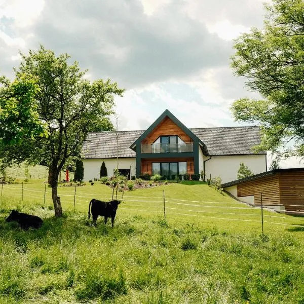 KOASA HOF Bed and Breakfast，位于Oberhaag的酒店