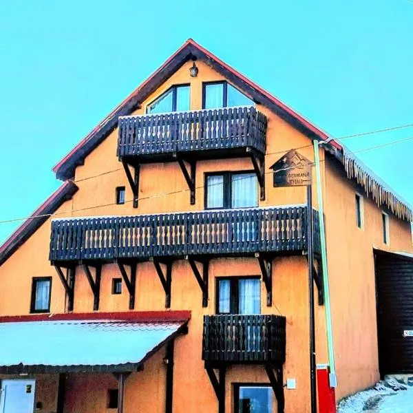 Casa Germana Straja，位于斯特拉扎的酒店