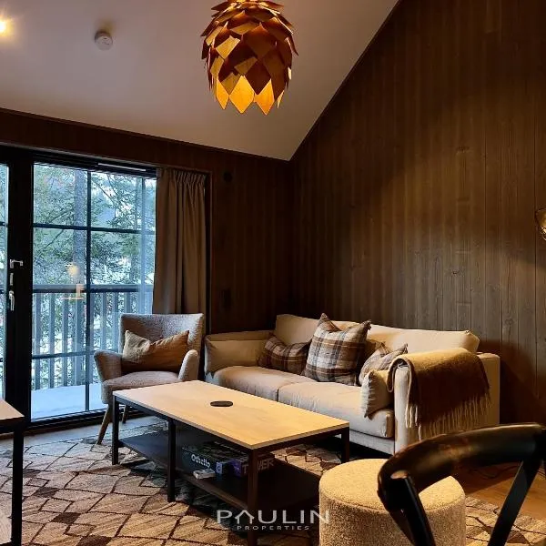 Lindvallen Ski Resort Pool and Padel - Sauna - 6 Guests，位于萨伦的酒店