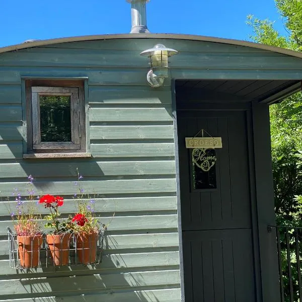 Shepherds Hut at Rhyd y Galen，位于朗日的酒店