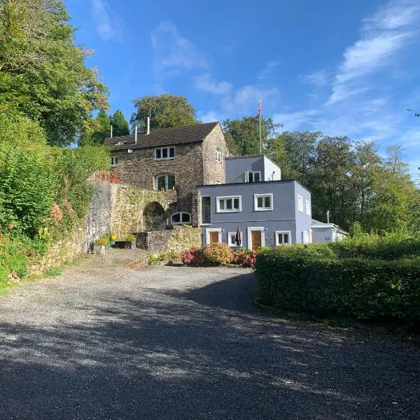 The Mill at Glynhir，位于阿曼福德的酒店
