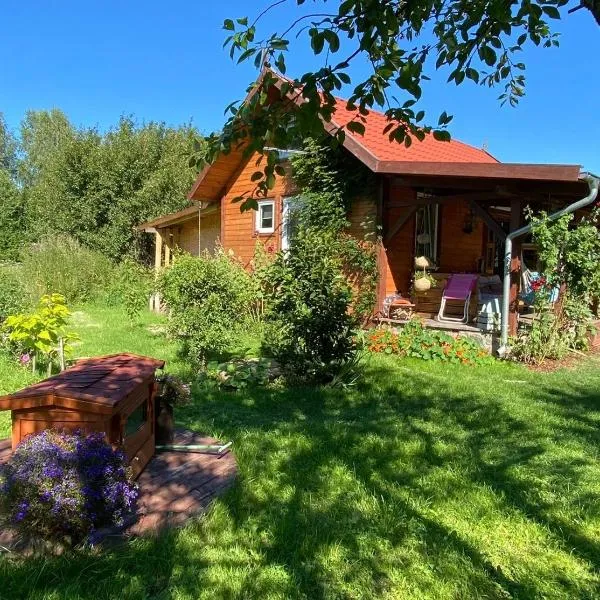 Domek pod lasem，位于帕斯文克的酒店