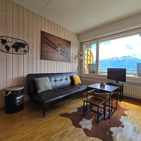 Charmant petit appartement，位于奥瓦伦纳茨的酒店