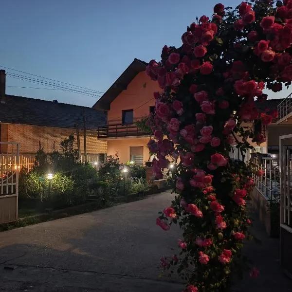 Nina Apartments，位于内戈廷的酒店