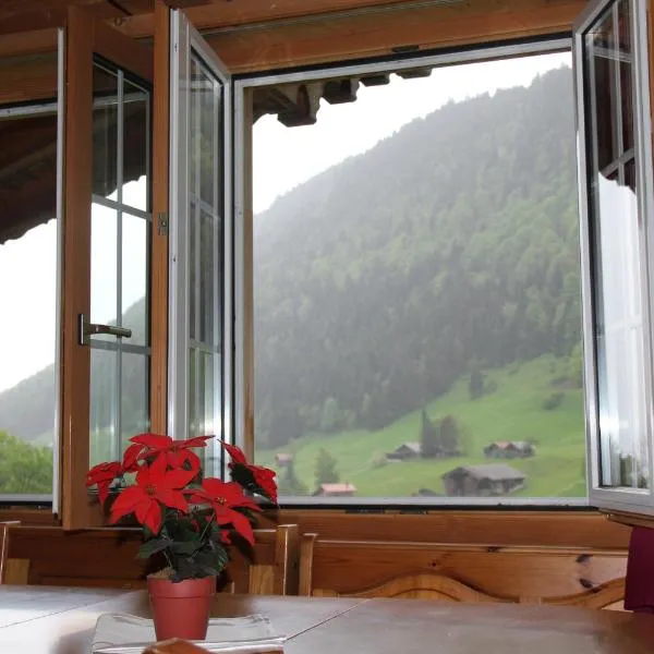 The Saxeten alps，位于Arni Alp的酒店