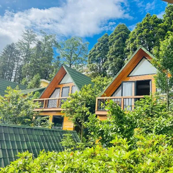 Sapa Pine Hill Eco Lodge，位于萨帕的酒店