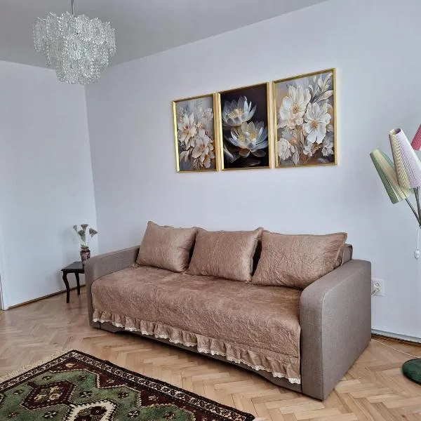 Panoramic Apartment，位于Gherla的酒店