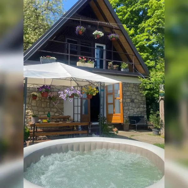 Smokvica，位于Stari Slankamen的酒店