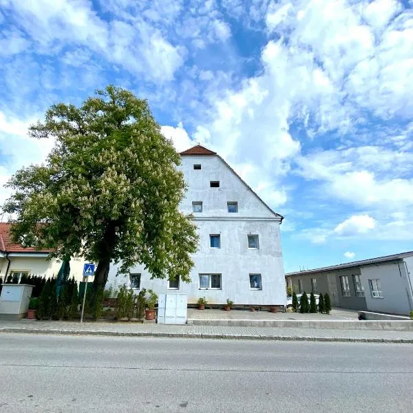 Ubytovna Kaplice，位于卡普利采的酒店