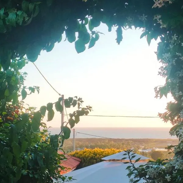 Amorevole villa con terrazza e parcheggio privato，位于波佐利的酒店